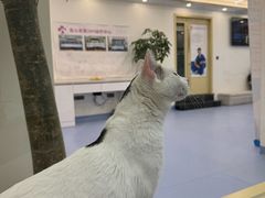 -全心全意动物诊疗中心医院(北苑店)