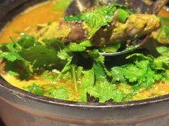 石锅鸡血黄辣丁-许家菜(望江店)
