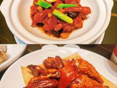 -东方御宴海鲜酒楼(棕泉酒店)