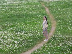 -白鹭湾湿地公园