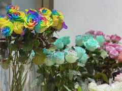 -双季花艺园艺市场(浦东店)