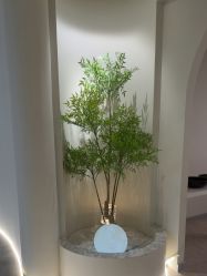 点击看大图 -VE专注问题肌·赛诺龙&科学美肤中心