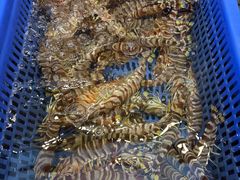 -吴记富苑(朝阳店)