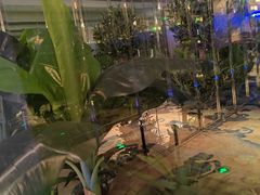 -世外桃源水疗会(皇庭彩园店)