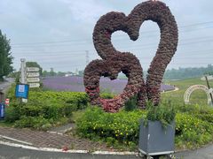 -紫颐香薰山谷景区