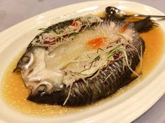 广式蒸宏鲷鱼-全聚德(上海首店浦东店)