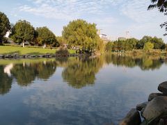 -九里河湿地公园