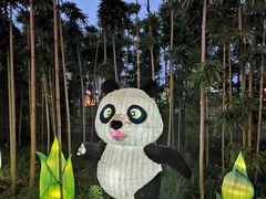 -眉山湿地公园(东坡区)