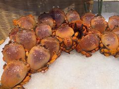 -川骄海鲜自助(河东店)