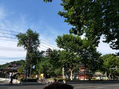 -滇香肴·云南菜蒸汽石锅鱼(云南北路店)