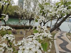 -天鹅湖体育公园