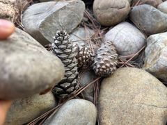 -同济大学(嘉定校区)