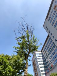 -成都市妇女儿童中心医院(中心院区)