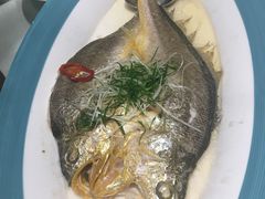 -广东道至正餐厅(区庄店)
