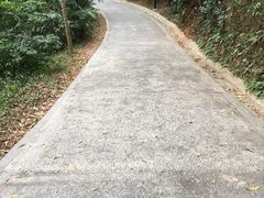 -广州市白云山风景名胜区