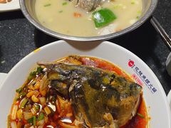-花鲢鱼头火锅(春城东路店)