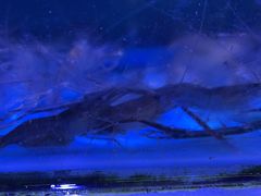 -八仔大富楼·河鲜(西江店)