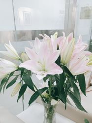 -拾尚映画·STUDIO婚纱摄影(中关村店)