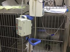 -美联众合动物医院·24h京西诊疗中心