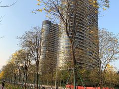 -洲头咀公园
