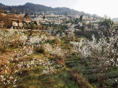 -樱桃山旅游景区