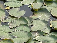 -天津东丽湖风景区