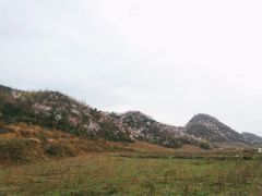 -樱花山风景区