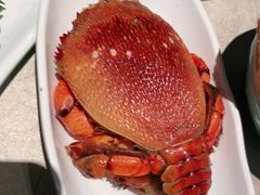 -上宴精品海鲜姿造(晶融汇旗舰店)