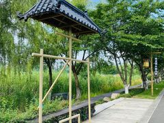 -长田漾湿地公园