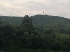 -长虫山生态公园风景林