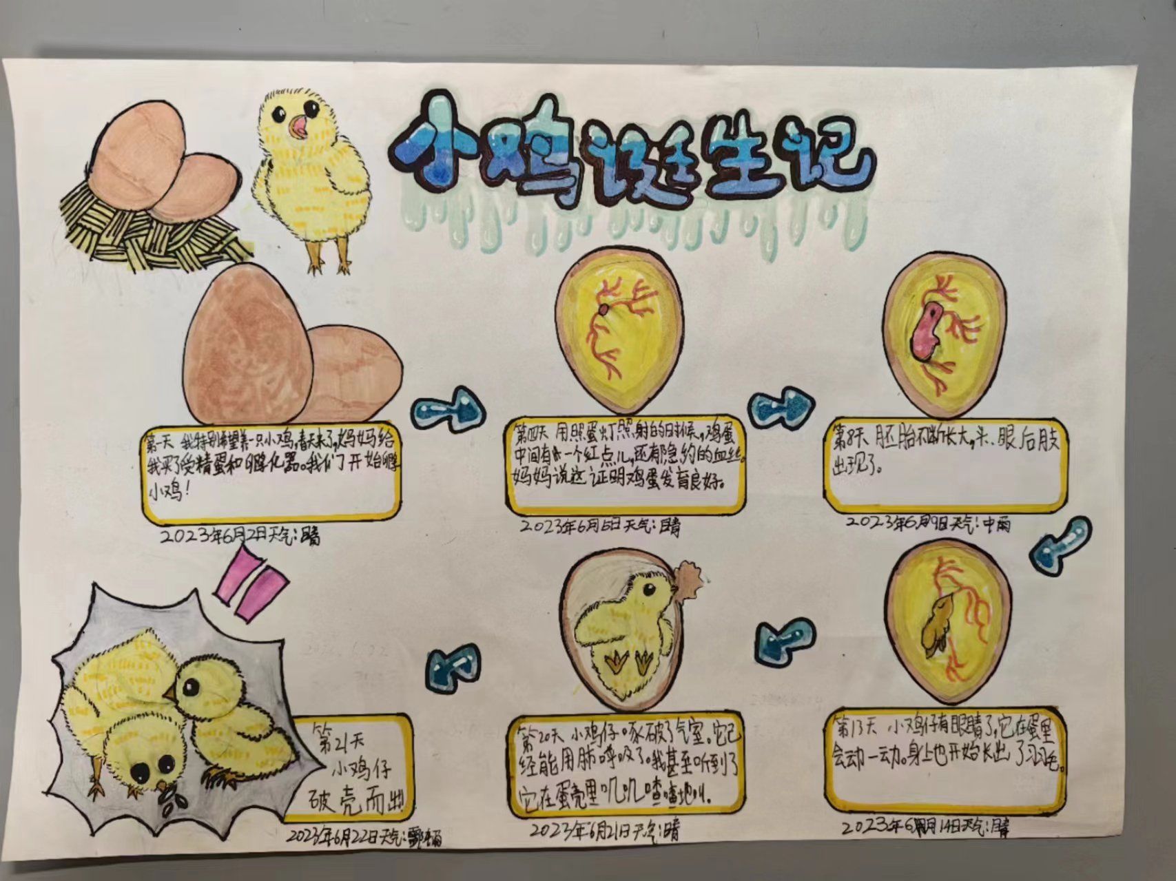 创意思维挑战