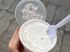 -洪馨椰子
