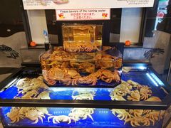 -蟹道乐(道顿堀本店)
