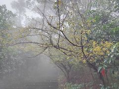 -敬亭山风景名胜区