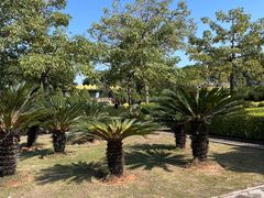 -大嶝英雄三岛战地观光园