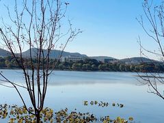 -羊山湖公园