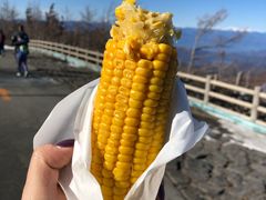 -富士山吉田線五合目