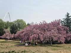 -石家庄市植物园
