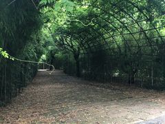 -东海大峡谷