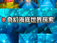 -乐从天佑城海洋馆