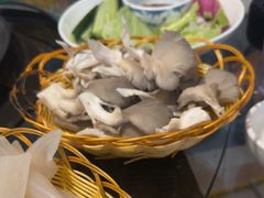 -姥家大锅台水库渔家