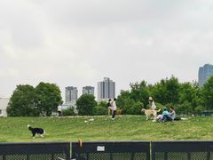 -栖露营camping·天幕烧烤·团建拓展·采摘营地