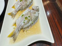 -湛江民大喜来登酒店-采悦轩中餐厅
