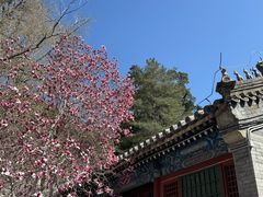 -潭柘寺景区
