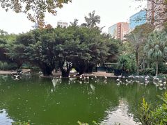 -九龙公园