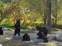 -北京野生动物园