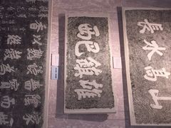 -南越王博物院(王宫展区)