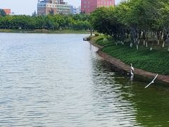 -安平桥