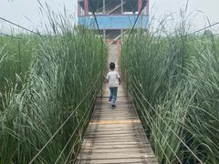 -河北村民俗体验园