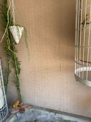 -威思丽高温瑜伽会馆